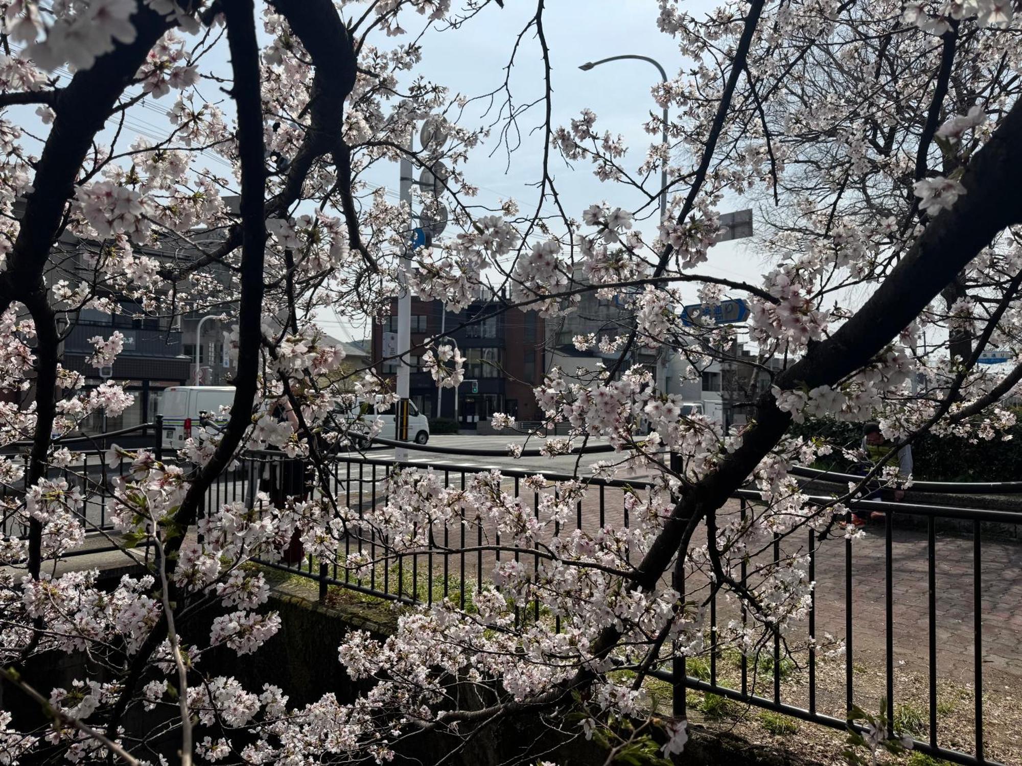 Mont-モン-Kamogawa Stay And Hotel Kyoto Exterior photo